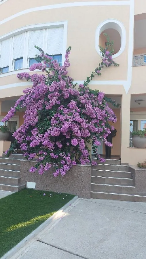 Apartmán Residence Gordana Selce Chorvatsko